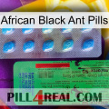 African Black Ant Pills new03